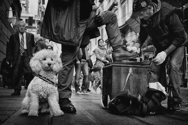 "Antonio Ultimo Lucidascarpe di Napoli" Antonio Grambone