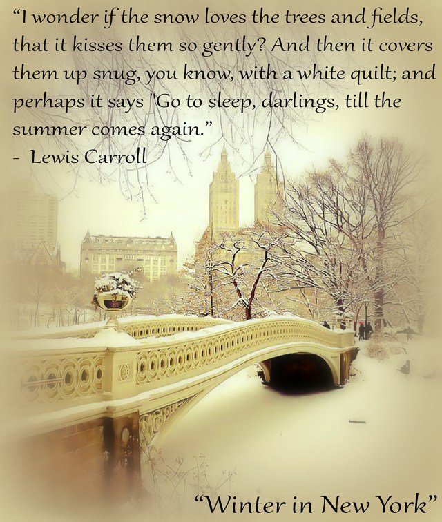 New York in Winter002