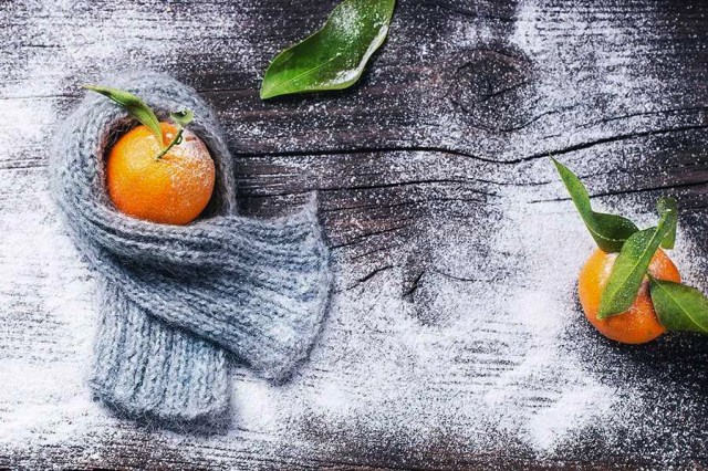 tangerine-in-scarf-by-natasha-breen-2